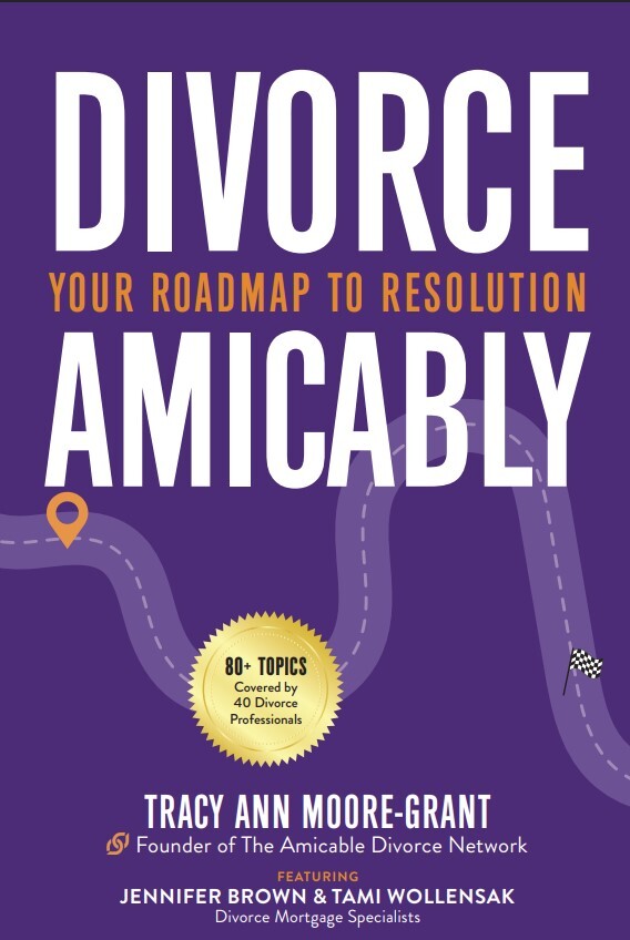 Divorce Amicably book-2